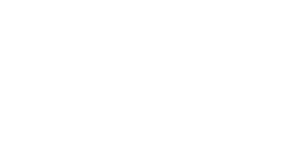 Fox Insurance Group